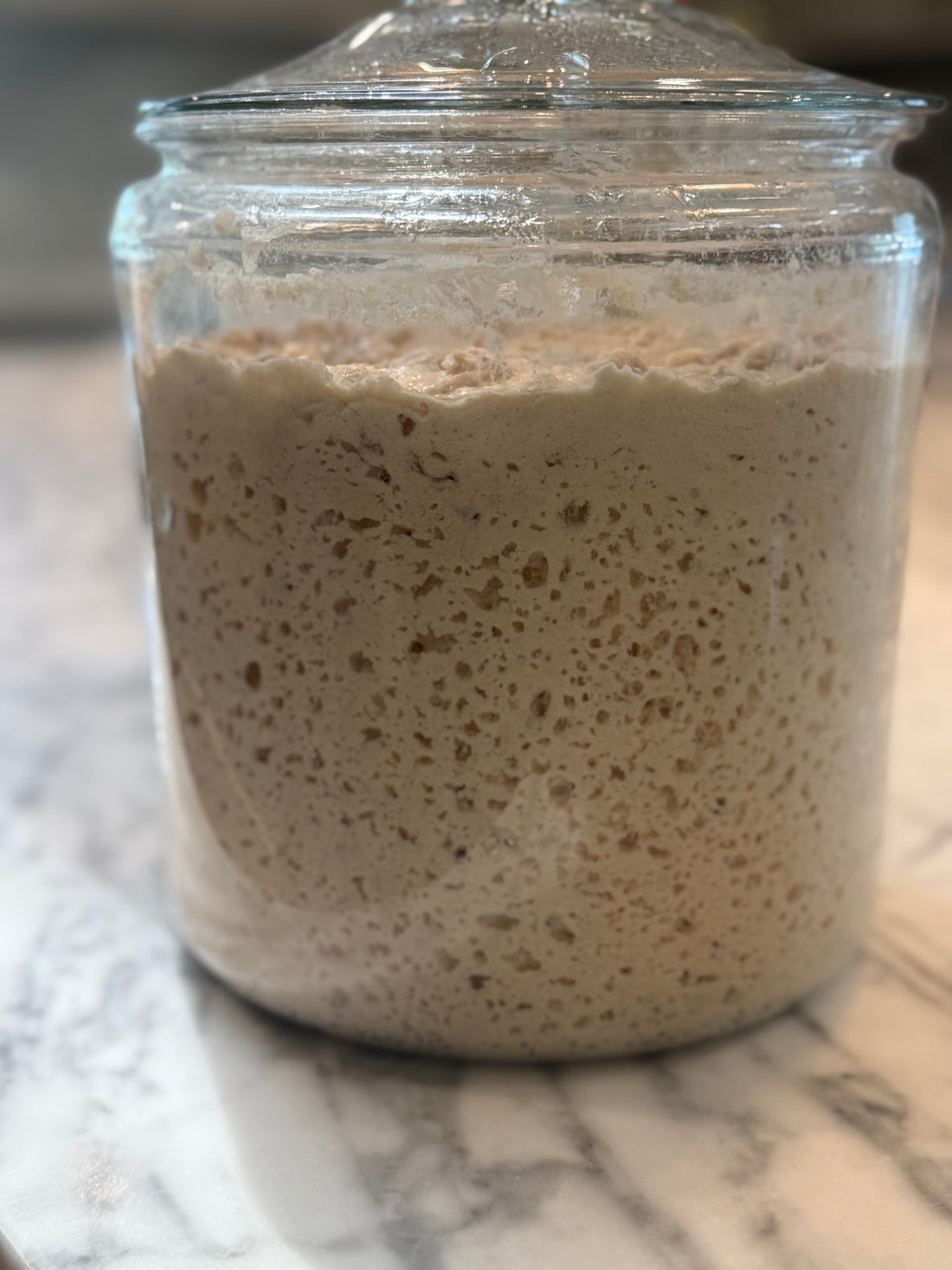 How to Build a Sourdough Starter From Scratch