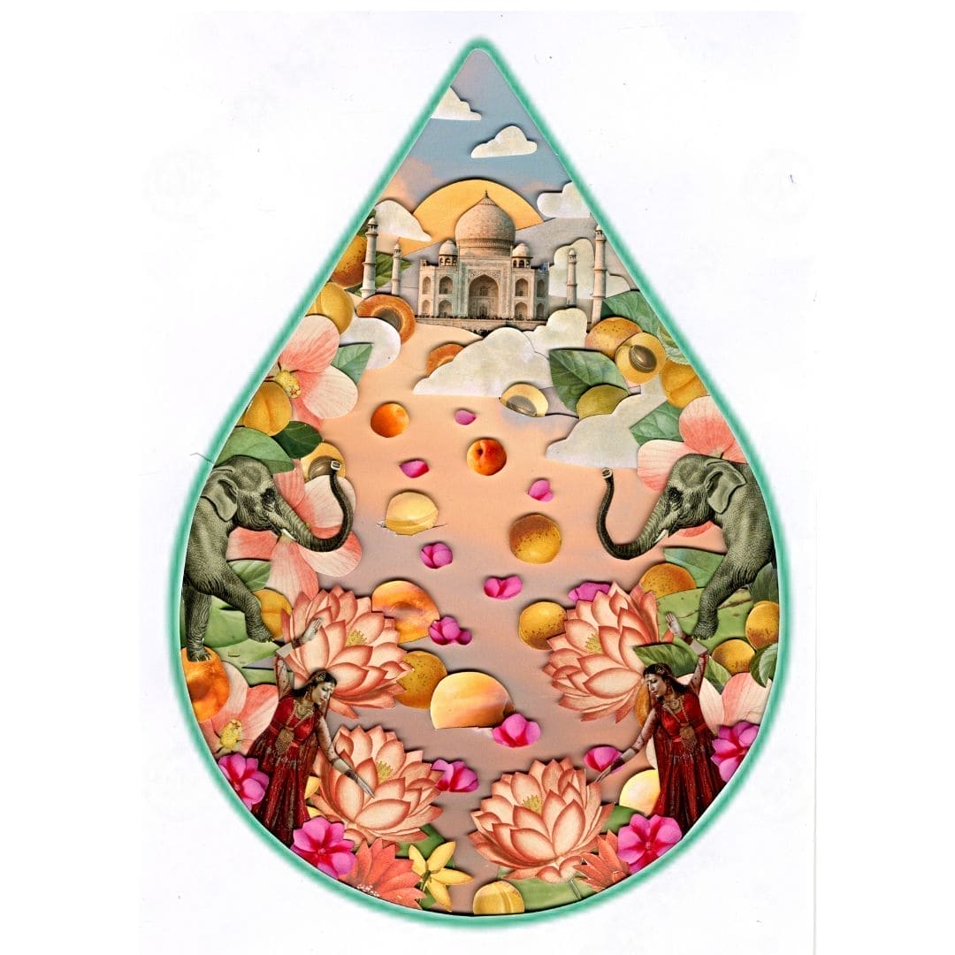 WOO™ Apricot Oil, 100% Organic
