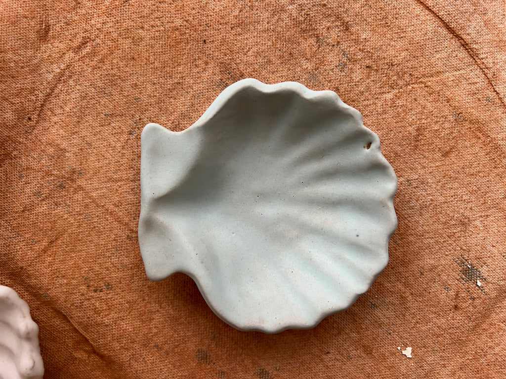 Ariel Shell